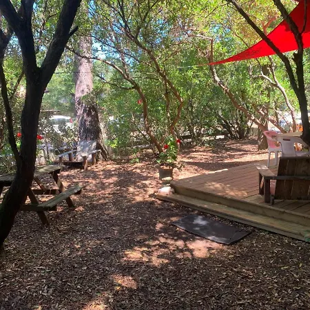 Apartman Les Lège-Cap-Ferret
