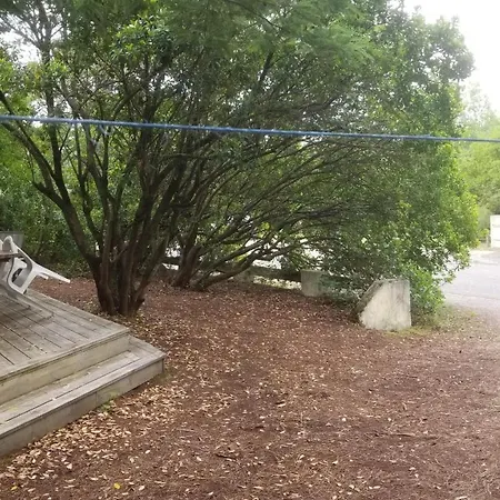 Daire Les Lège-Cap-Ferret