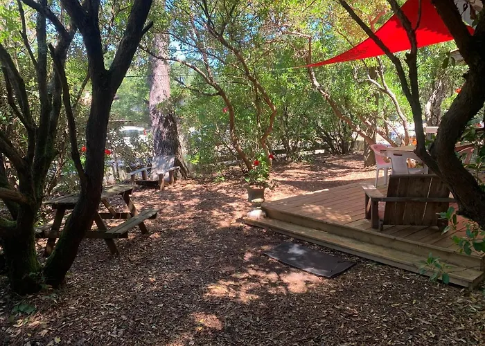 Apartamento Les Lège-Cap-Ferret